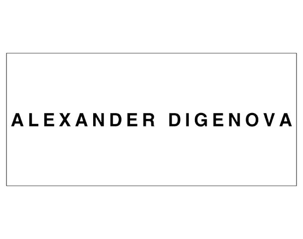 ALEXANDER DIGENOVA ネックレス - NUBIAN ALEXANDER DIGENOVA ネックレス - NUBIAN