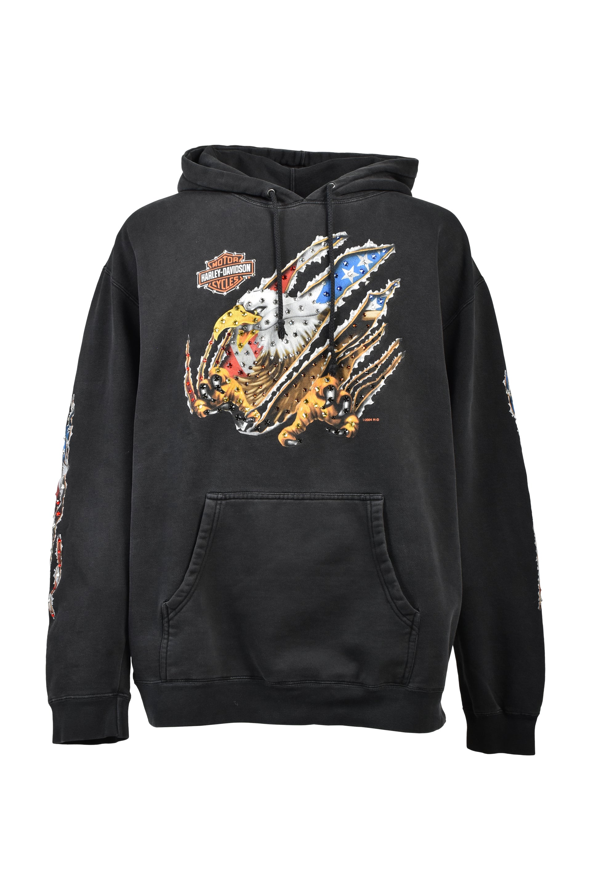 SAUK CITY,WI HOODIE / BLK