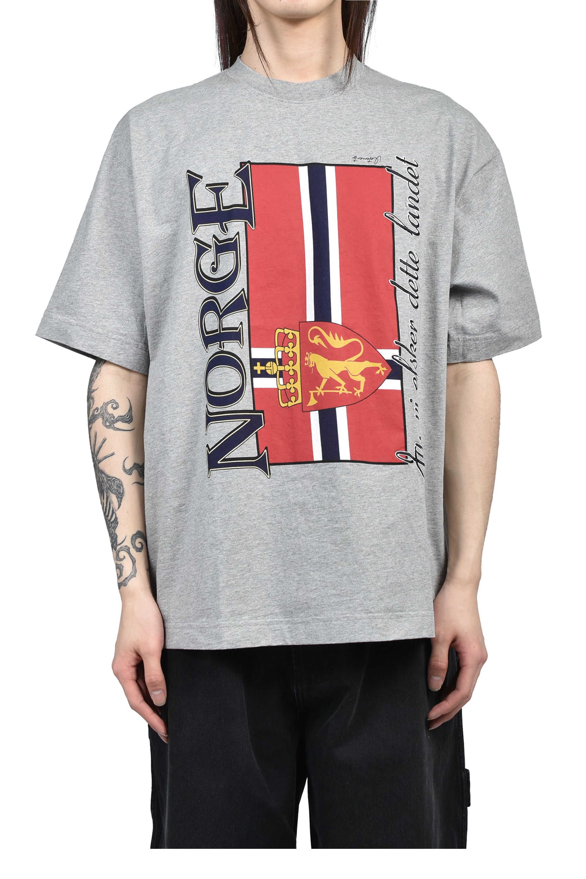 VETEMENTS SS26 NORWAY TOURIST T-SHIRT / GRY MELANGE - NUBIAN