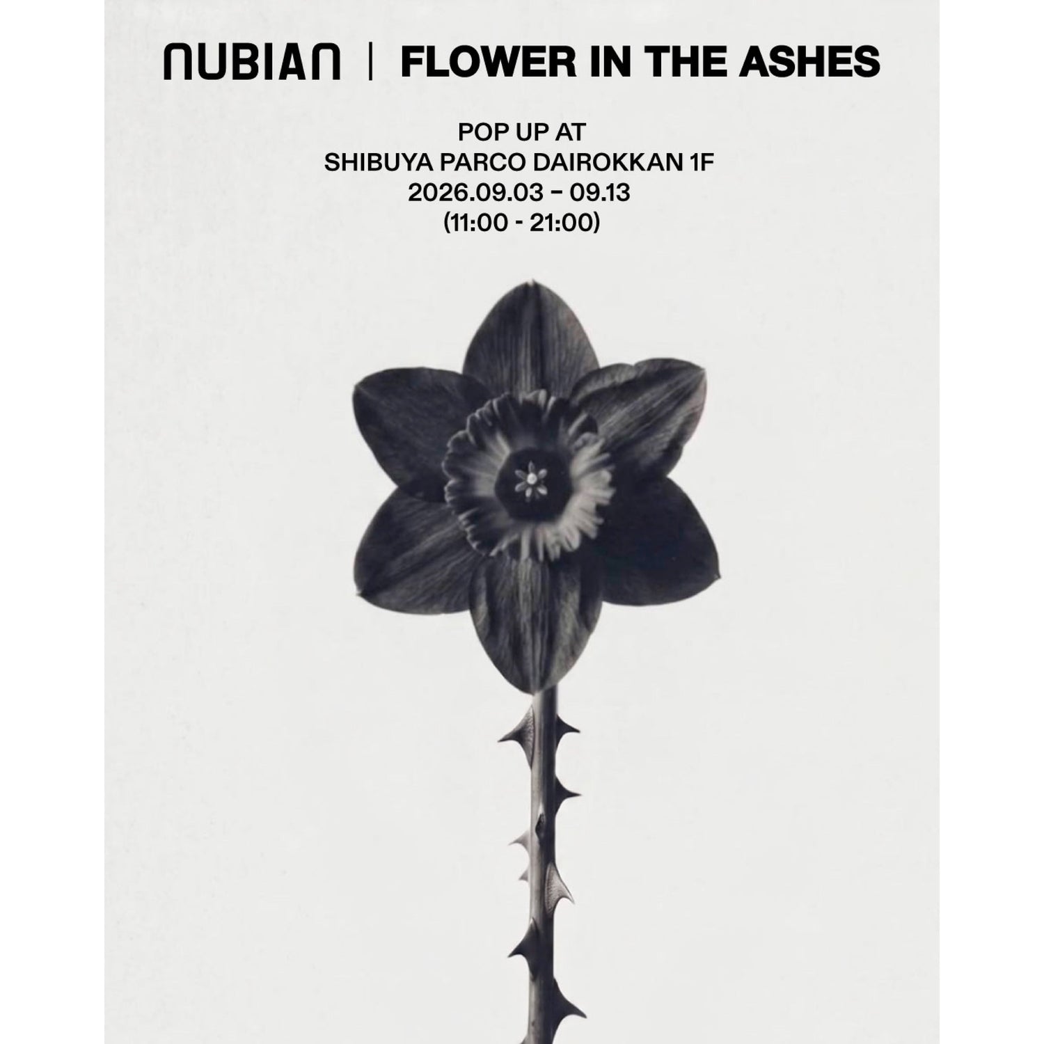 9月3日(木)より開催<br>FLOWER IN THE ASHES<br>POP-UP STORE