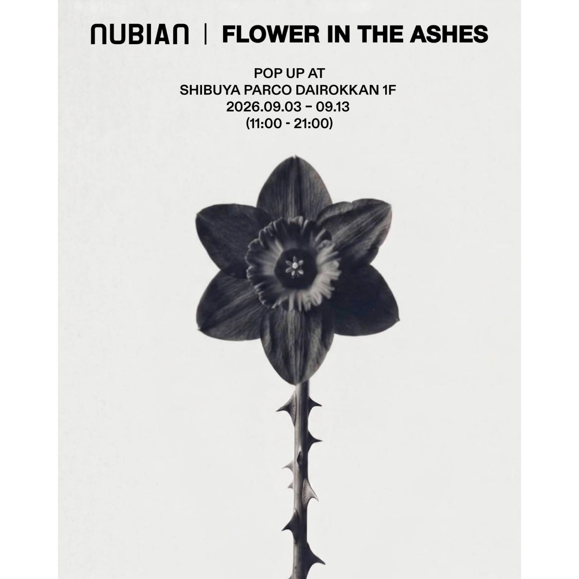 9月3日(木)より開催 FLOWER IN THE ASHES POP-UP STORE
