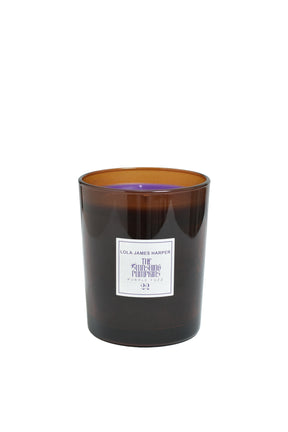 22 THE SMASHING PUMPKINS PURPLE FUZZ / MULTI