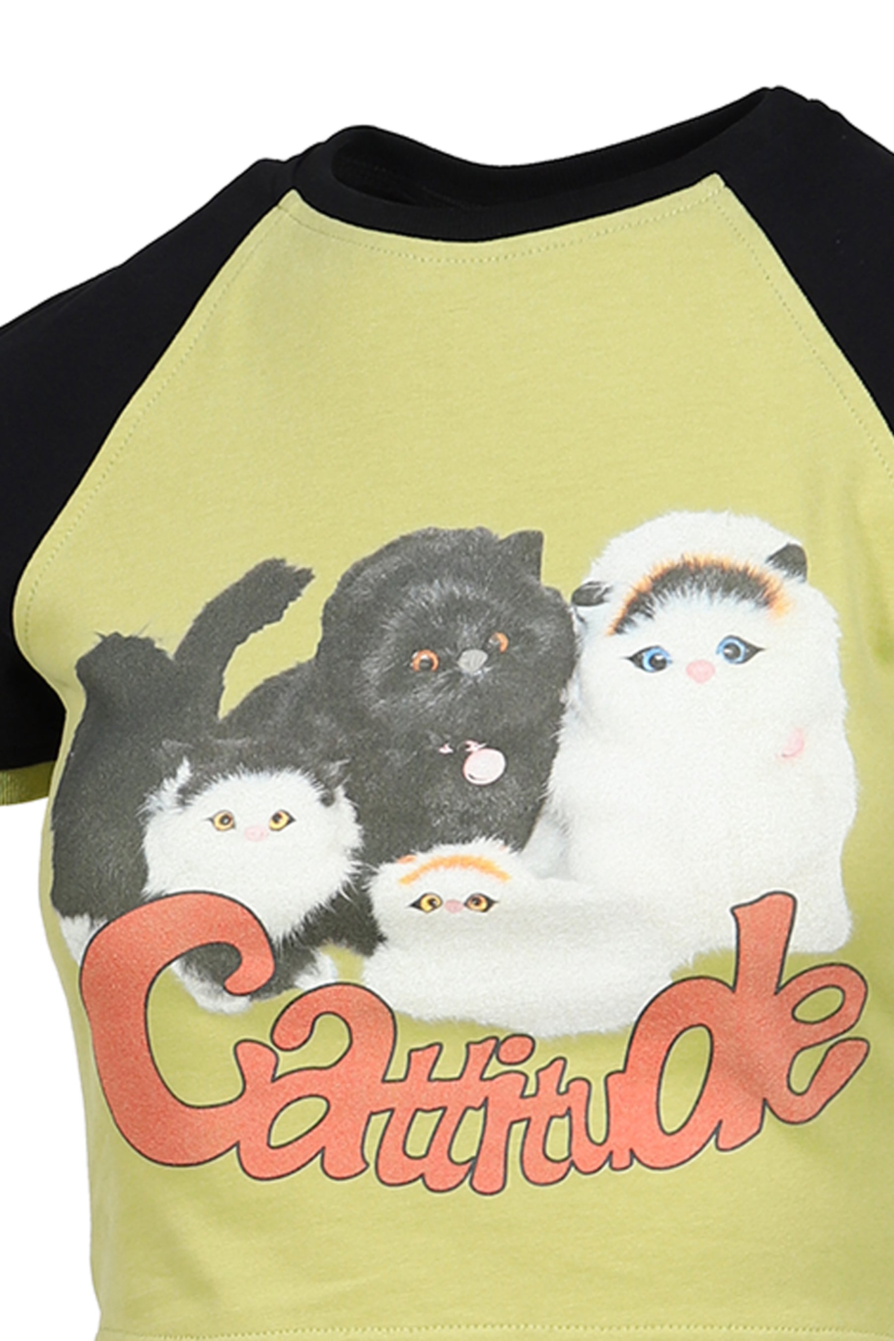 CATTITUDE T-SHIRT / BLK/YEL