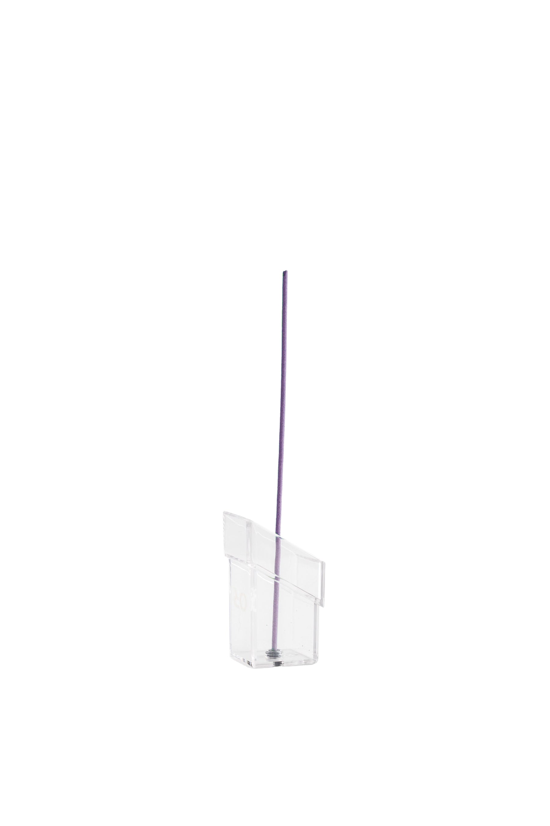 PURPLE AURA ORCHID - LARGE / PUR
