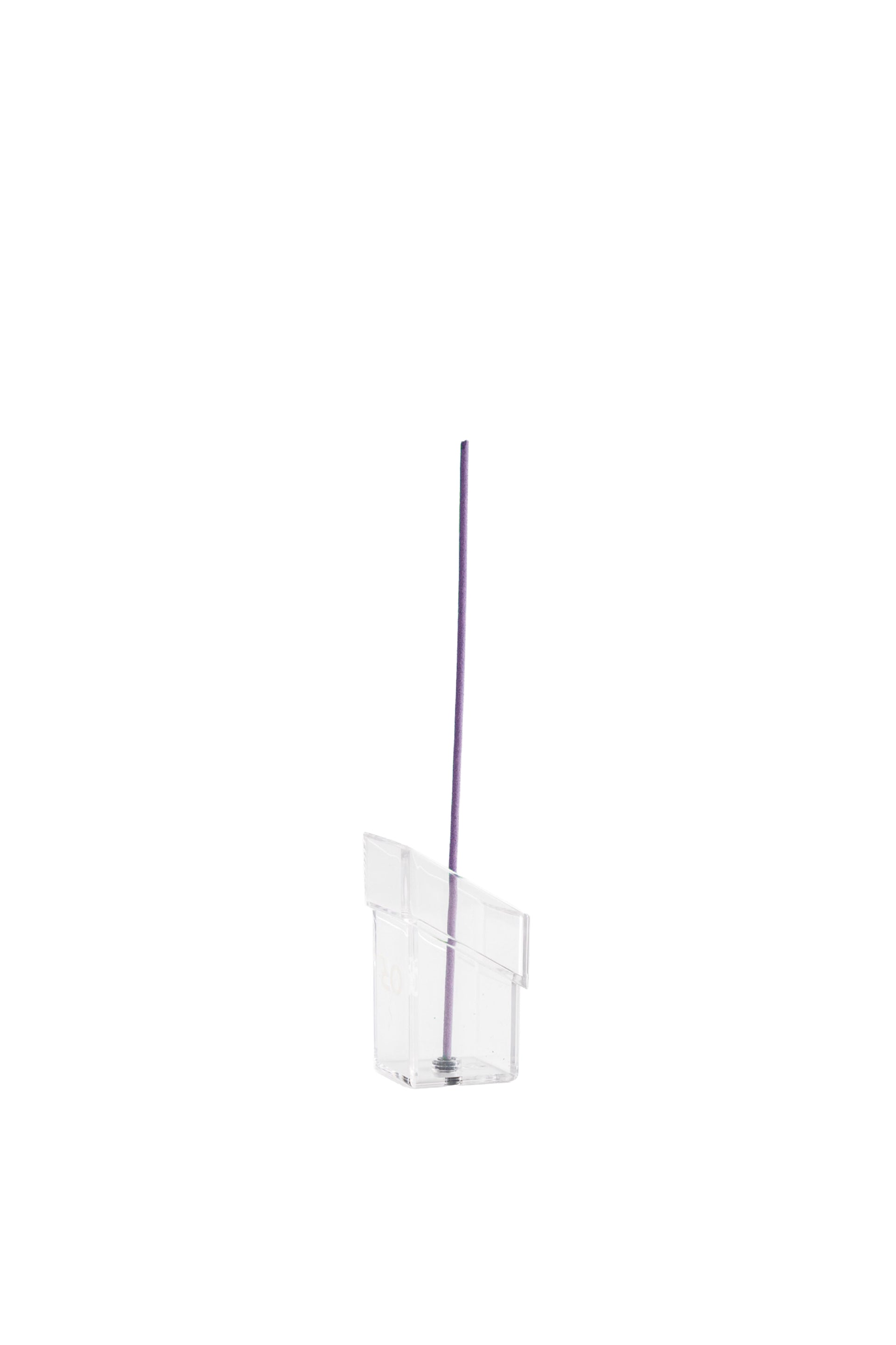 PURPLE AURA ORCHID - LARGE / PUR
