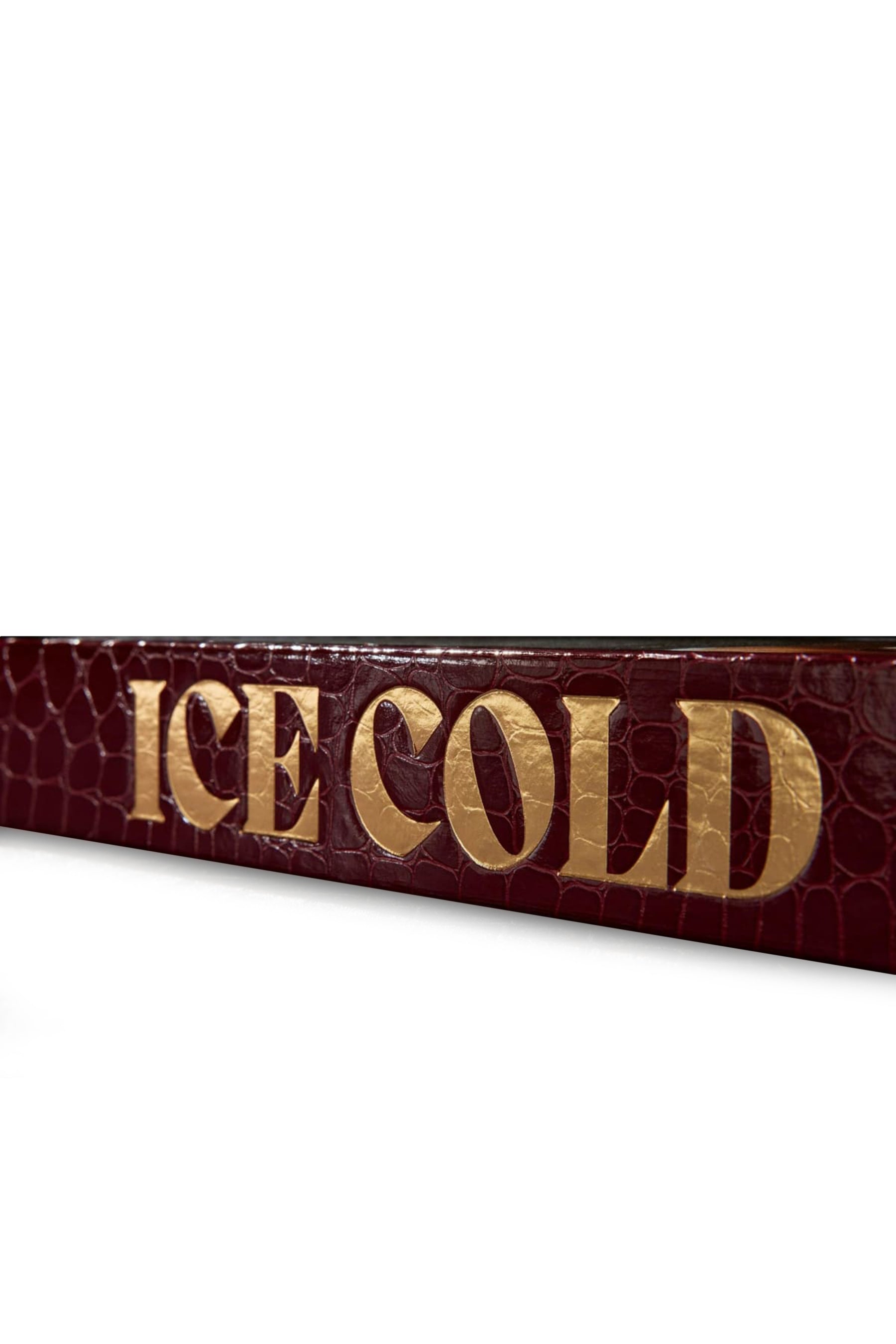 ICE COLD. ART EDITION NO. 1-100. ZACH BOISJOLY `MEGAN THEE STALLION' / 2018