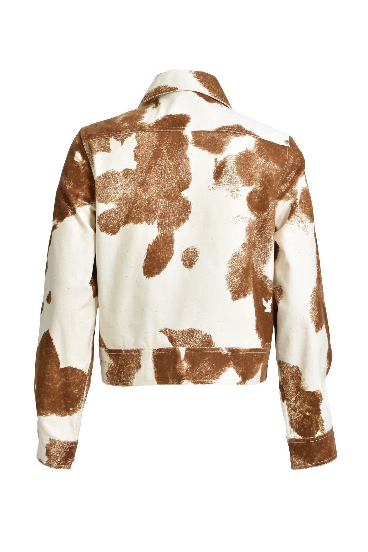 FLOCKY COW SPORTS JACKET / BRW