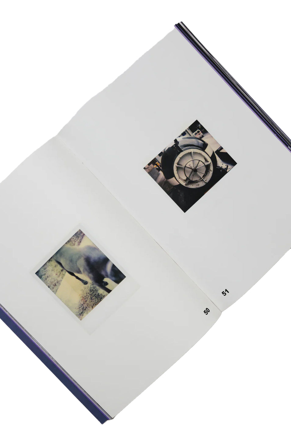 PHOTO BOOK THE SMASHING PUMPKINS FANZINE / MULTI