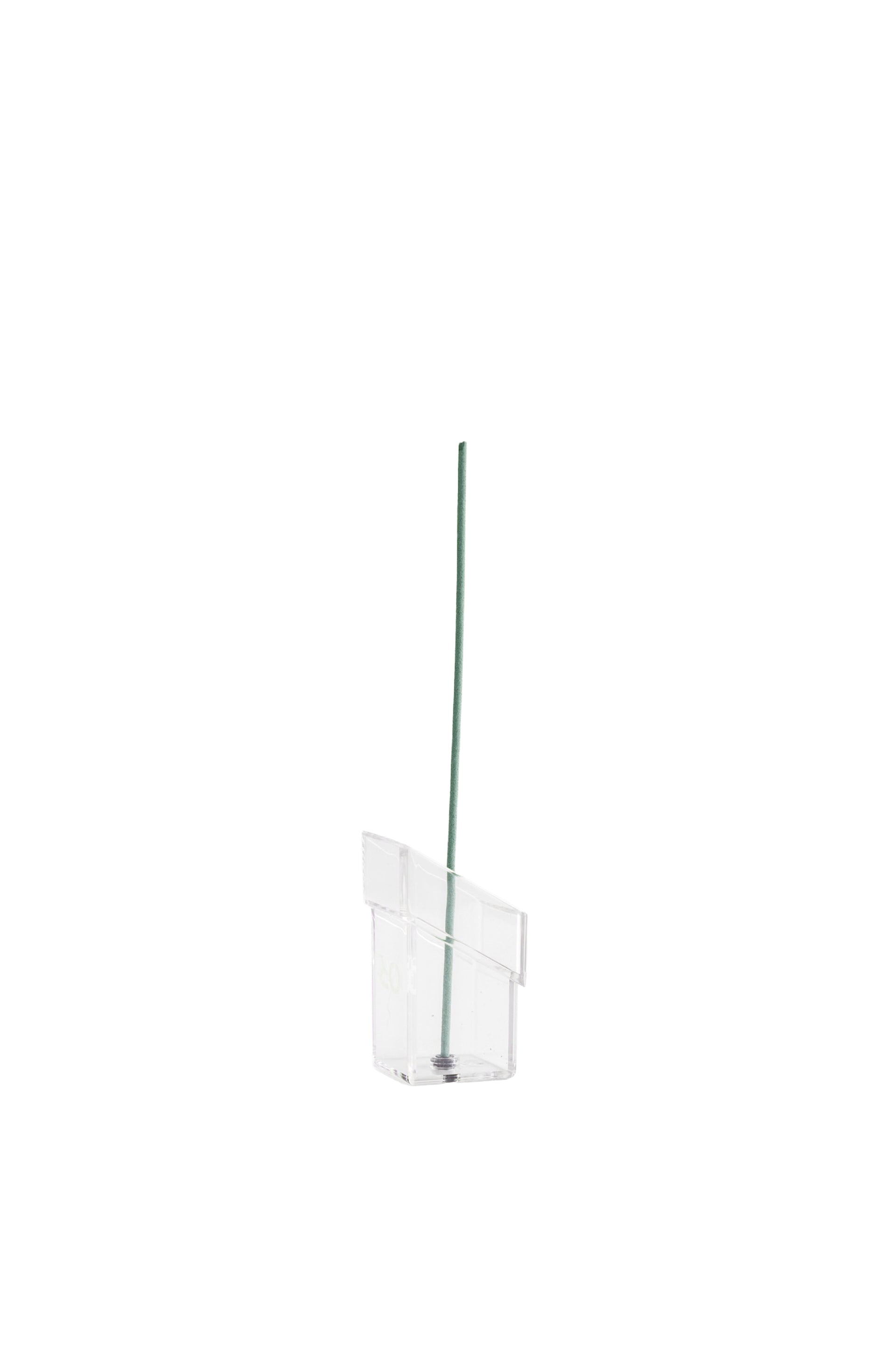 EUCALYPTUS MEDIT FOREST - LARGE / GRY