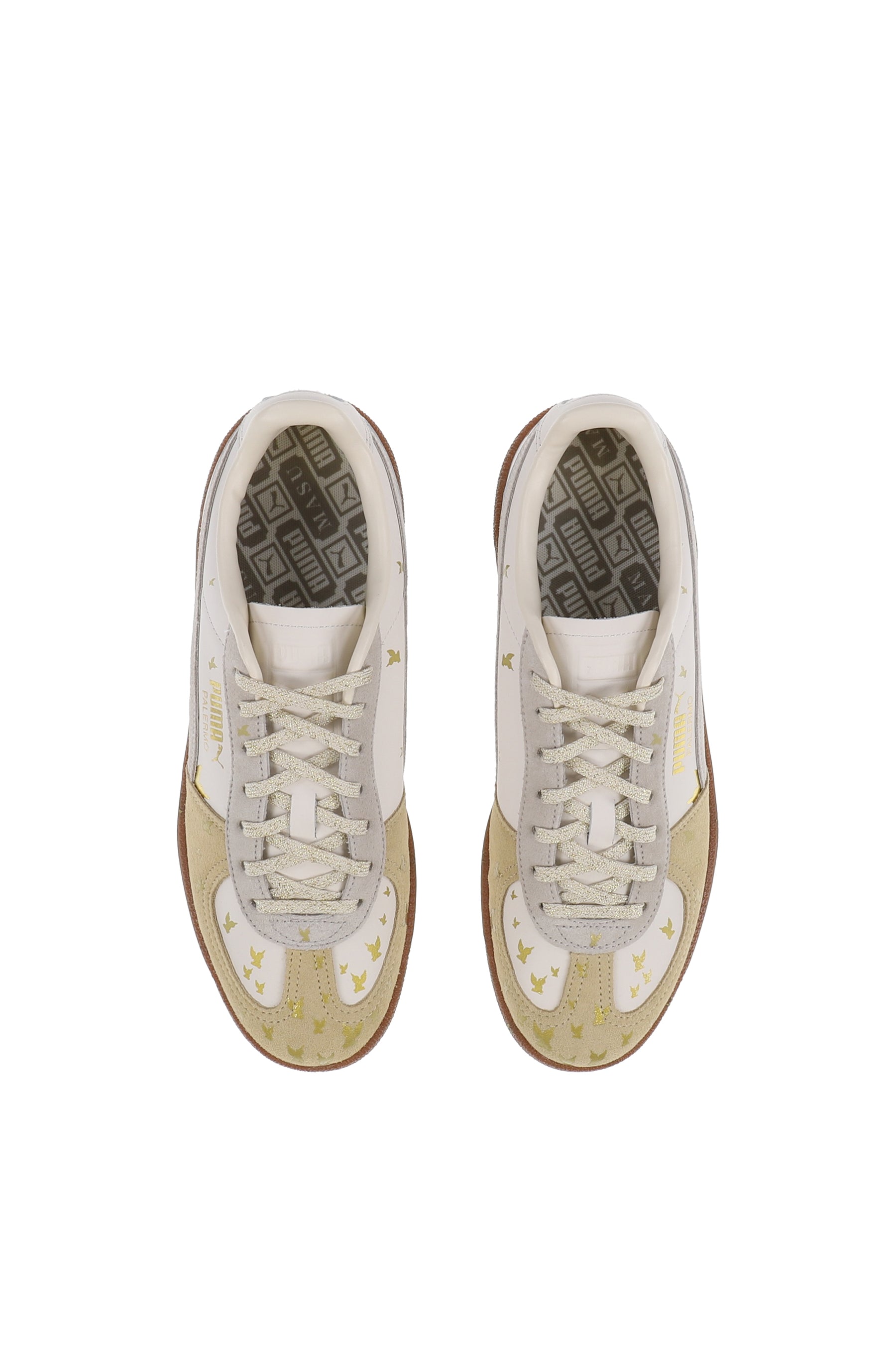 PALERMO BLESS / ALPINE SNOW