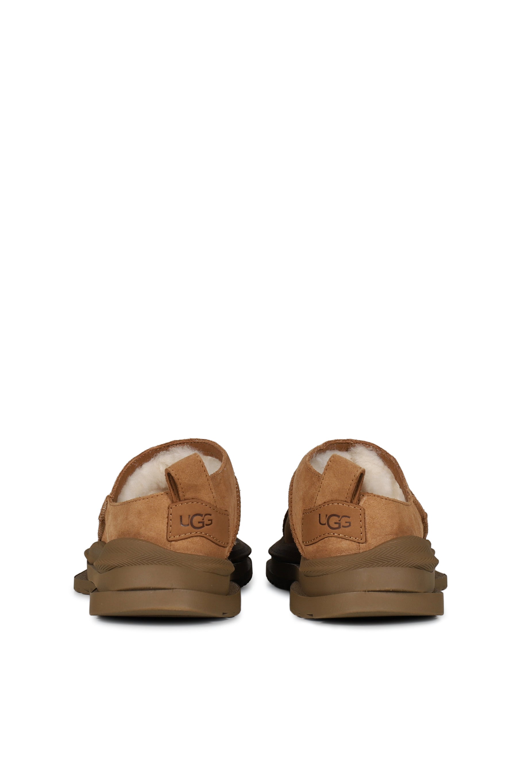 CLASSIC MICRO DISTORT / CHESTNUT
