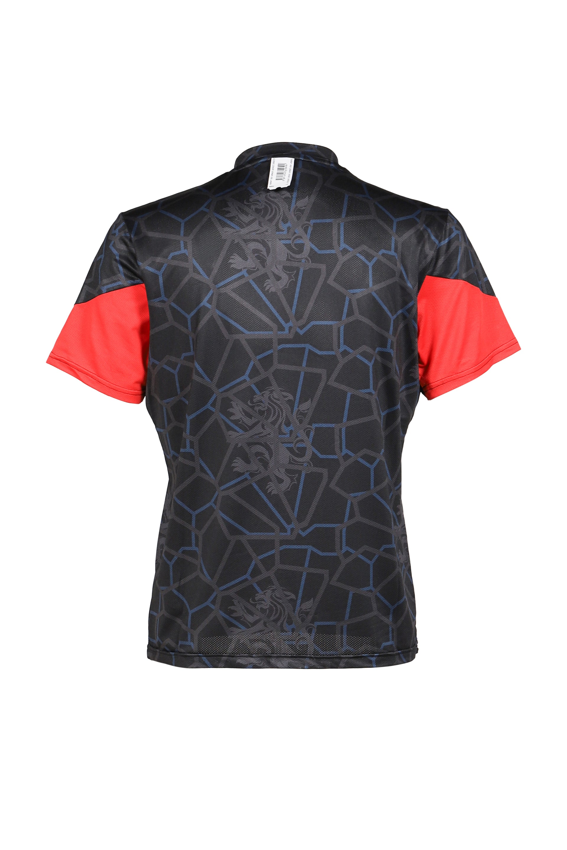 GOAT SPRAYED FOOTBALL TRICOT SS / ASSORTED