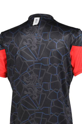 GOAT SPRAYED FOOTBALL TRICOT SS / ASSORTED