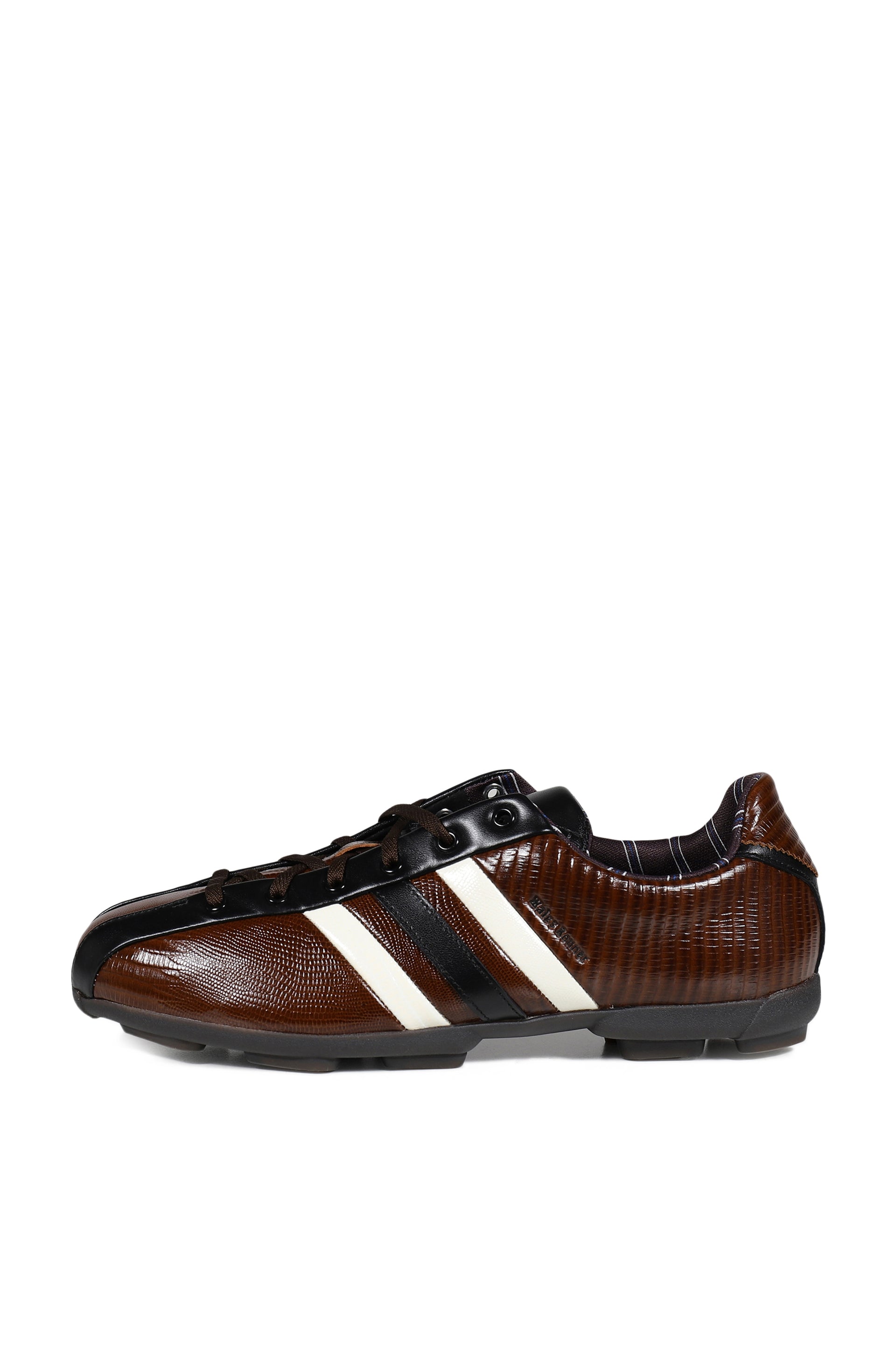 THE FIELD LIZZARD / BRW/WHT/BLU