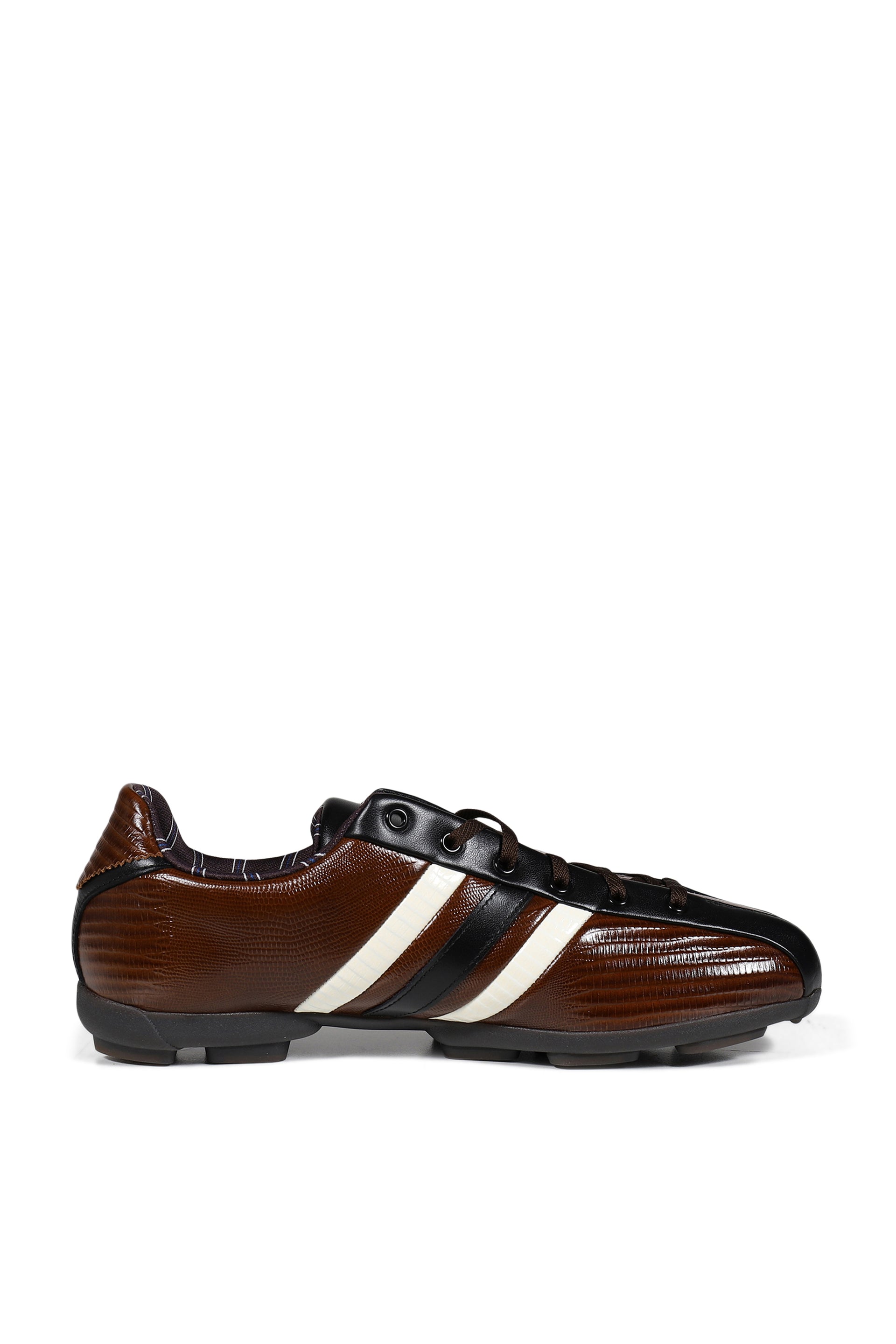THE FIELD LIZZARD / BRW/WHT/BLU