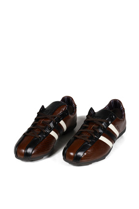 THE FIELD LIZZARD / BRW/WHT/BLU