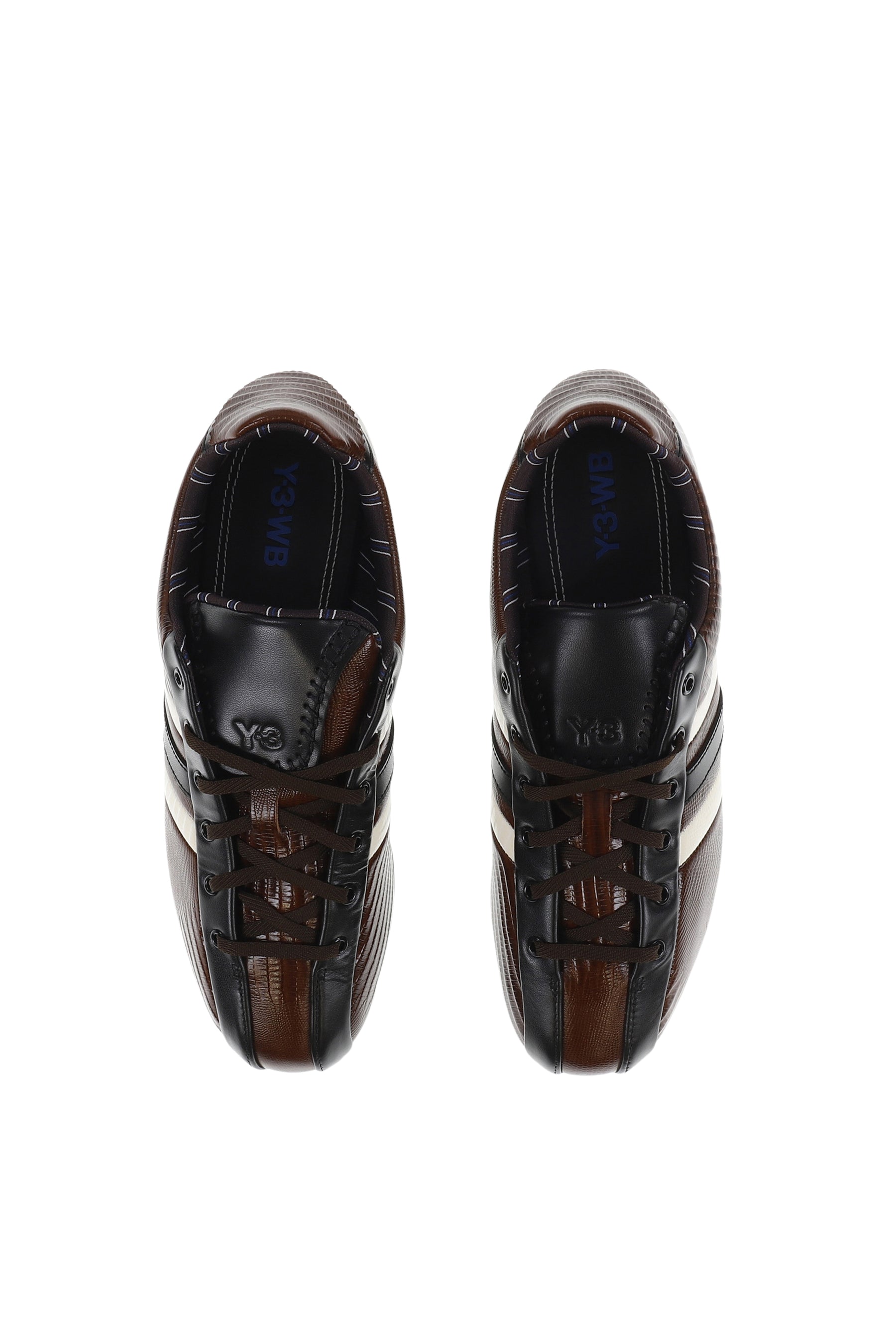 THE FIELD LIZZARD / BRW/WHT/BLU