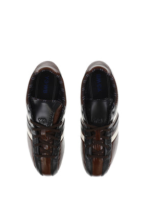 THE FIELD LIZZARD / BRW/WHT/BLU