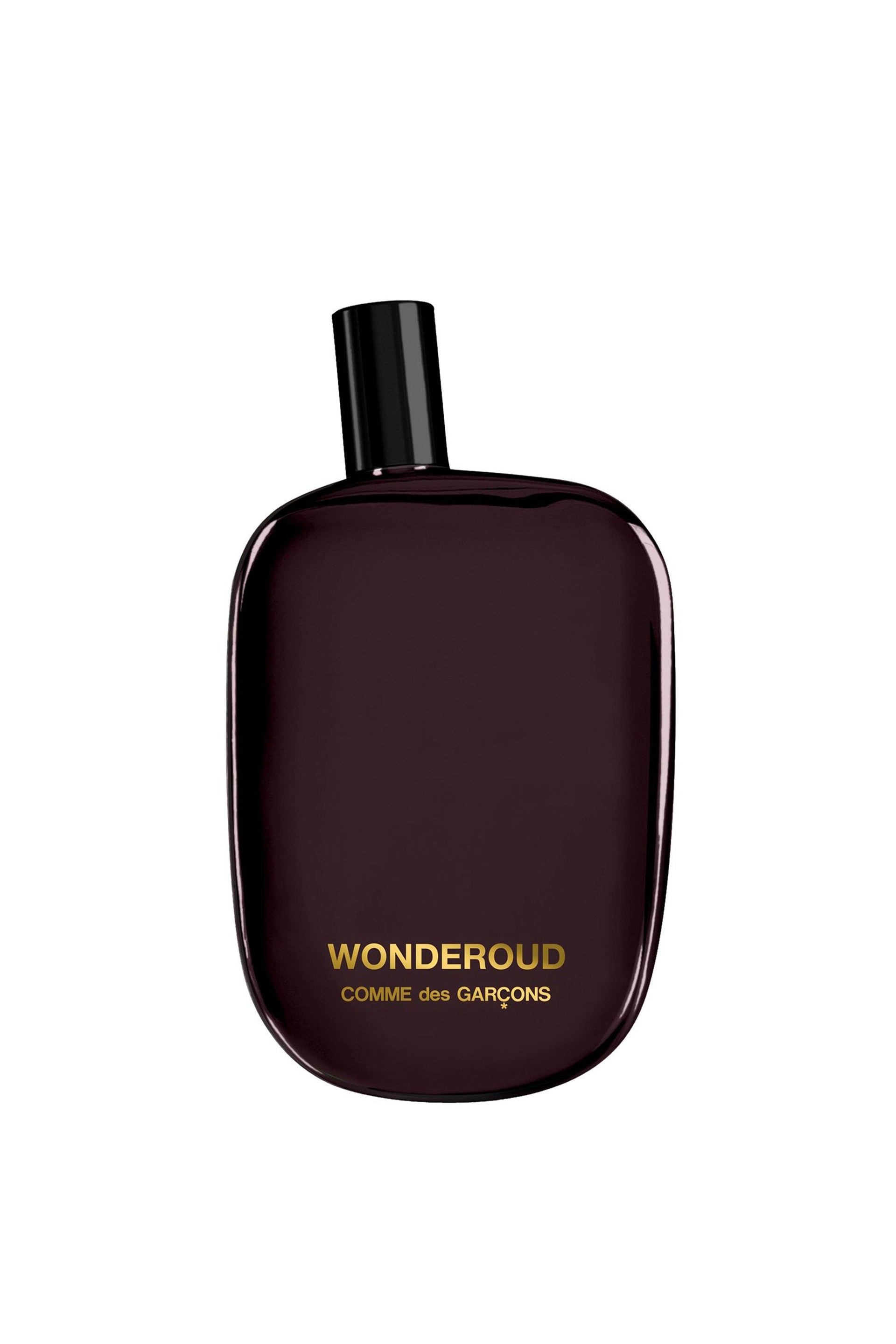 Comme des Garçons PARFUMS WONDEROUD / 100ml / MULTI