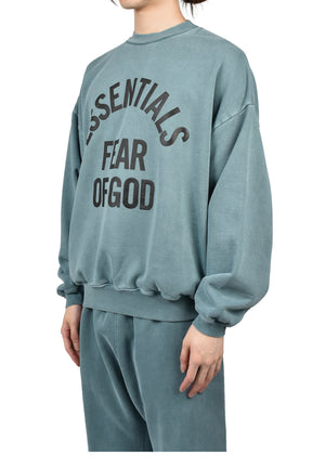 CAMPUS 90'S CREWNECK SWEATSHIRT / FADED COASTAL