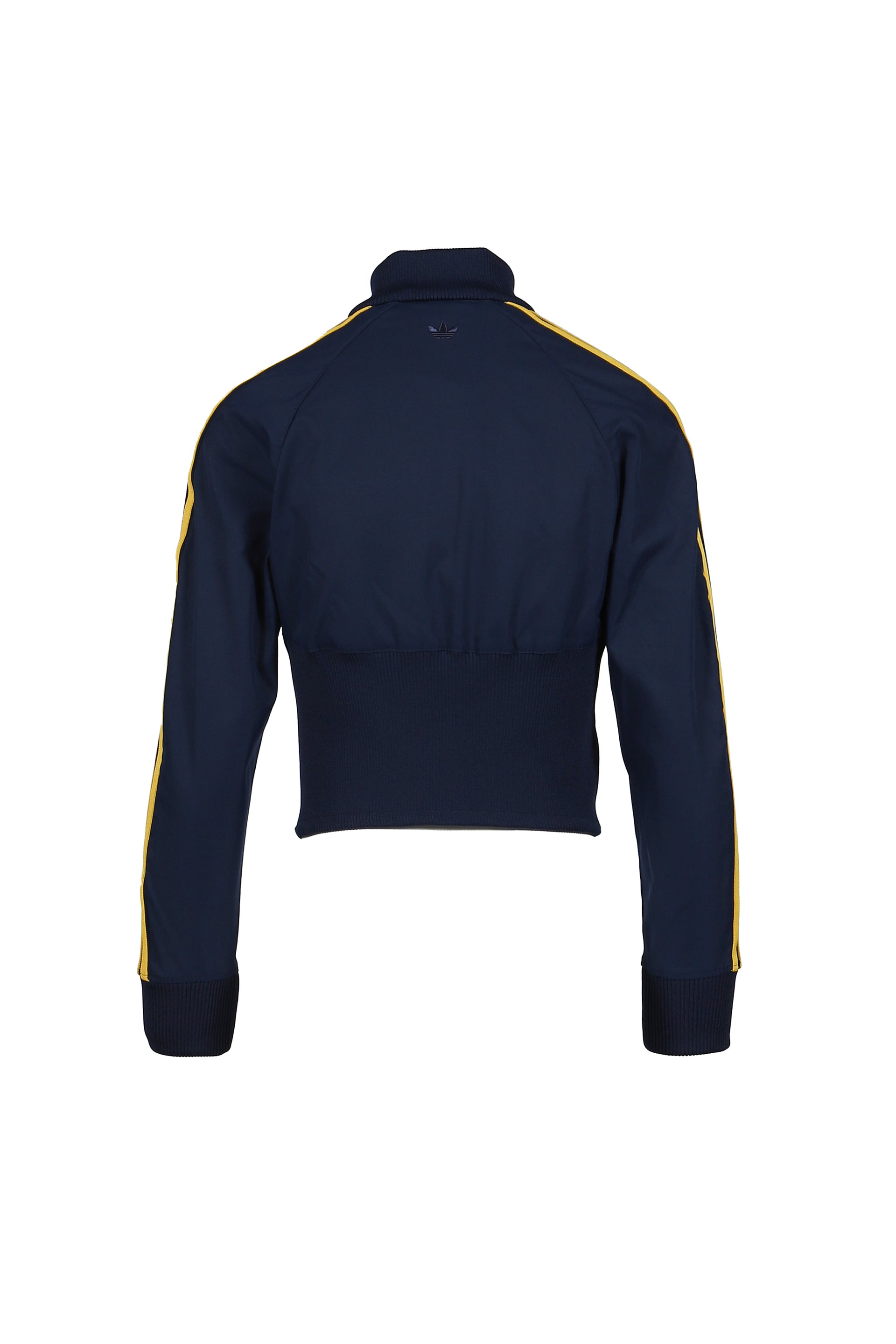 MIAOU CORSET TT / NVY