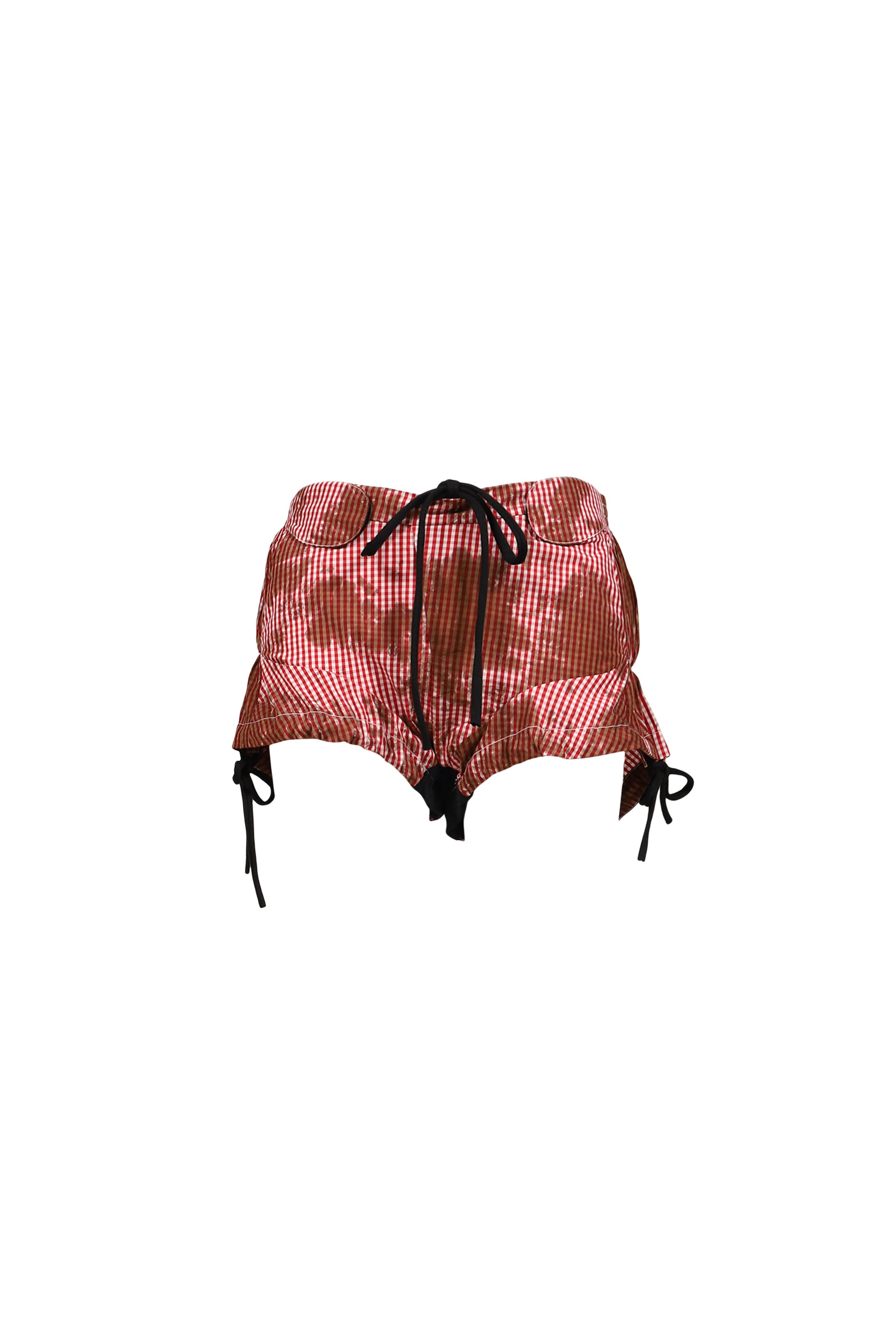 PICNIC RAIDER SHORTS / GINGHAM