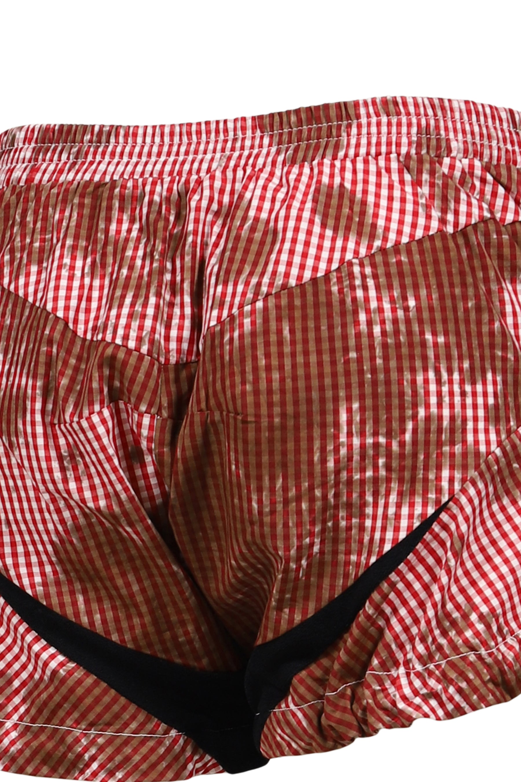 PICNIC RAIDER SHORTS / GINGHAM