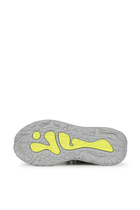 LA FRANCE RNNR REFLECTION / GRY