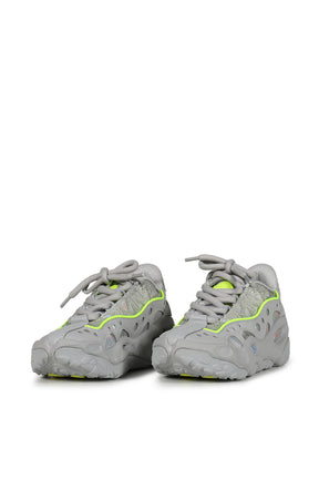 LA FRANCE RNNR REFLECTION / GRY