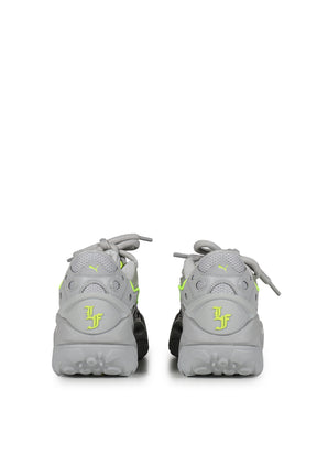 LA FRANCE RNNR REFLECTION / GRY