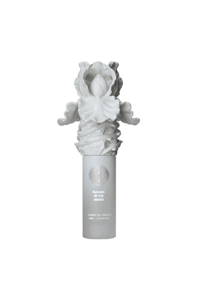 FLOWER IN THE ASHES - CAP / MULTI