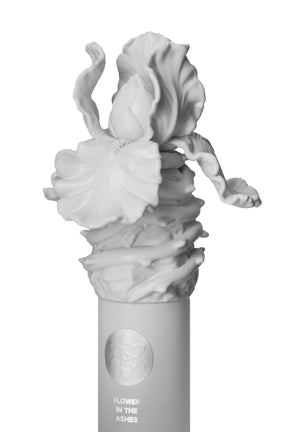 FLOWER IN THE ASHES - CAP / MULTI