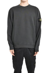 GARMENT DYED CREWNECK SWEATSHIRT / LEAD GRY