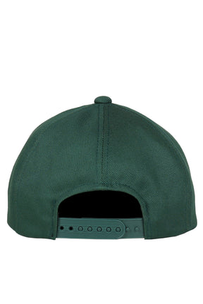 THIS IS A COWBOY HAT / GRN