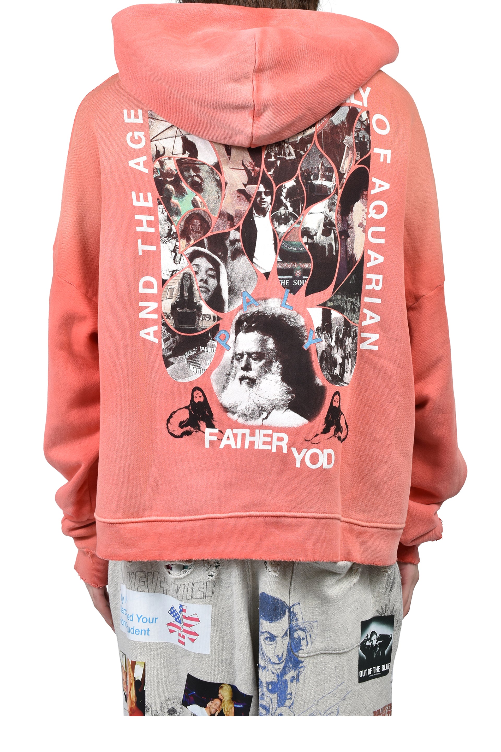 SOURCE FAMILY HOODED SWEATSHIRT / RED