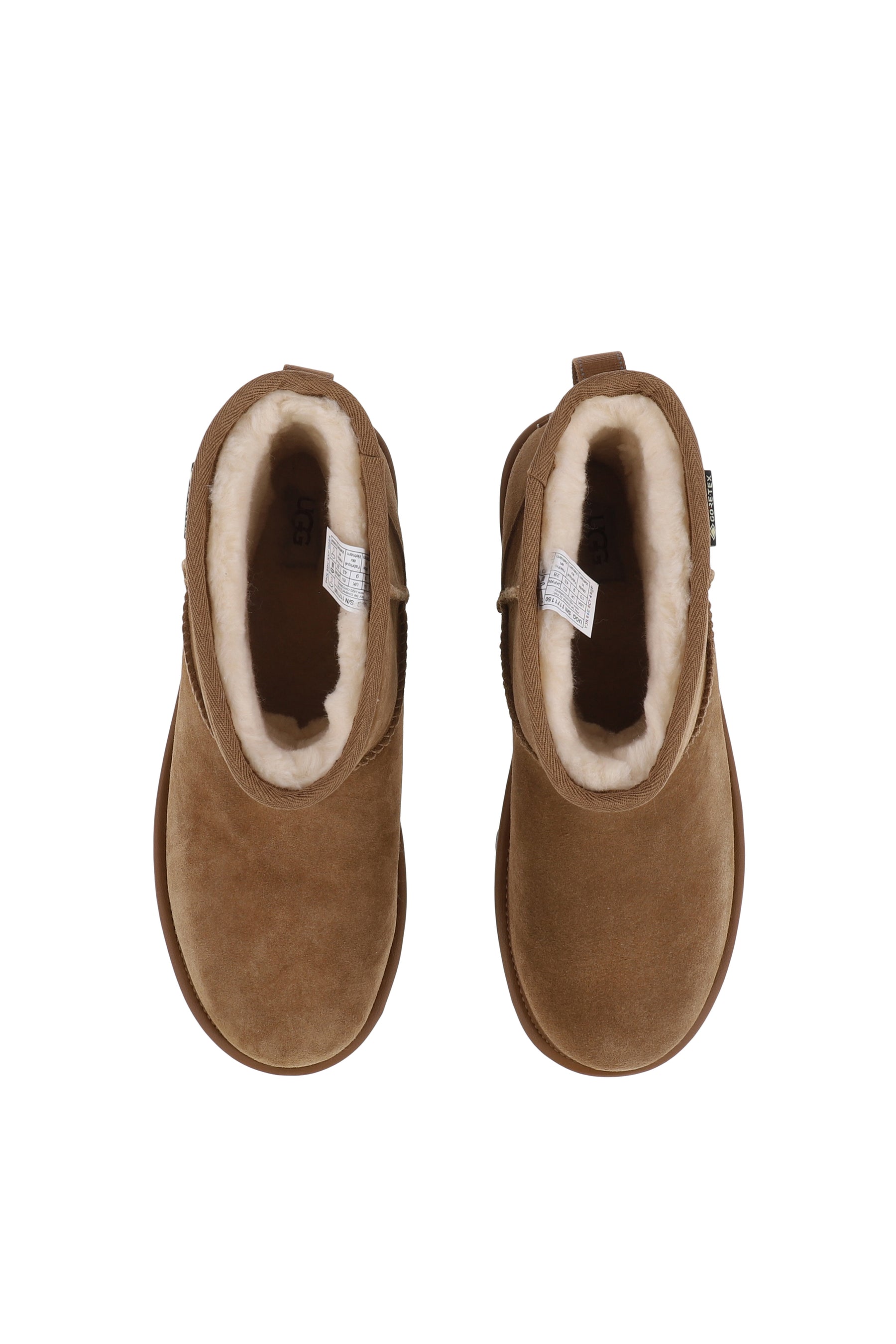 CLASSIC MINI GTX / CHESTNUT