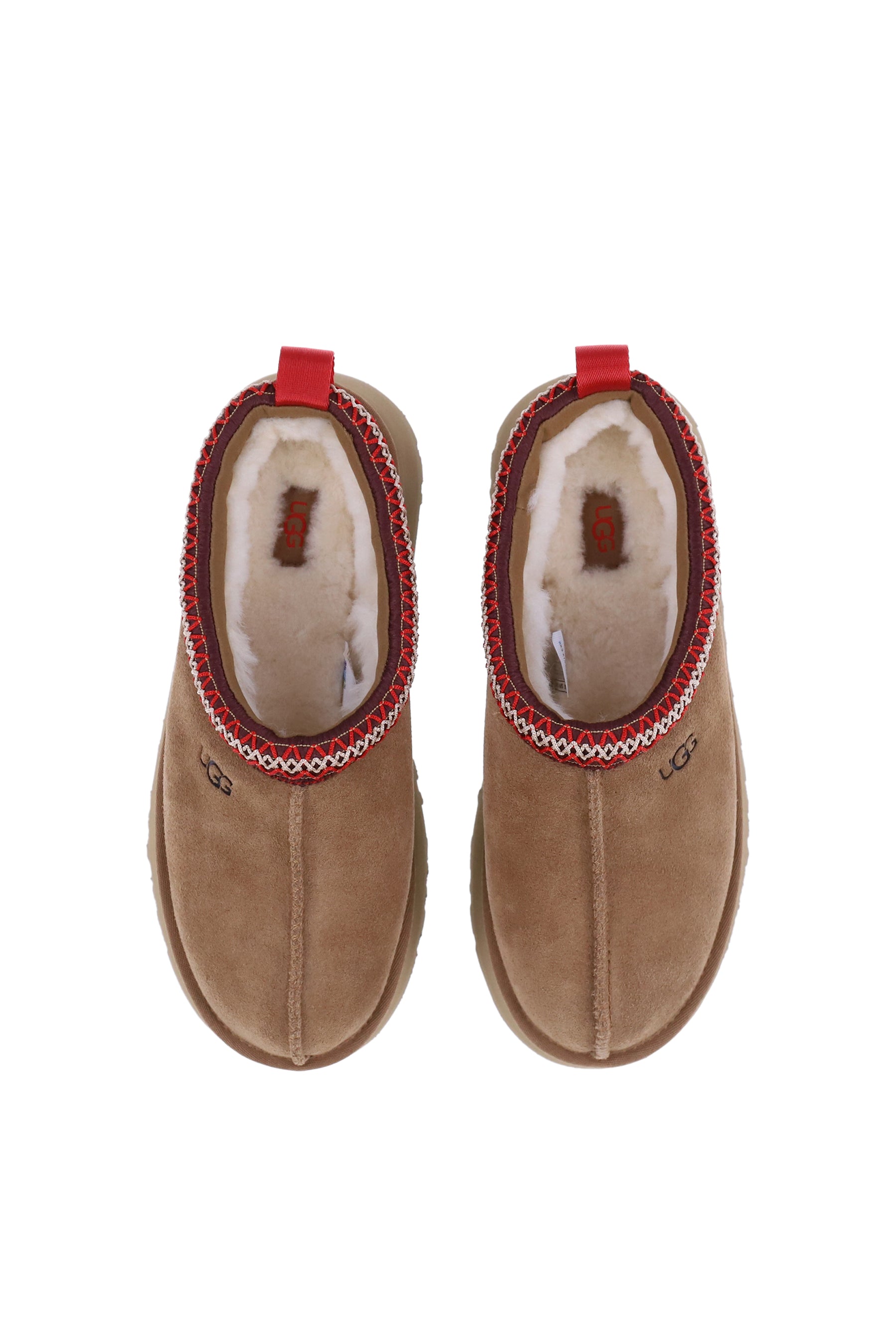 TAZZ II / CHESTNUT
