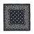 LIW ORIGINAL BANDANA / BLK