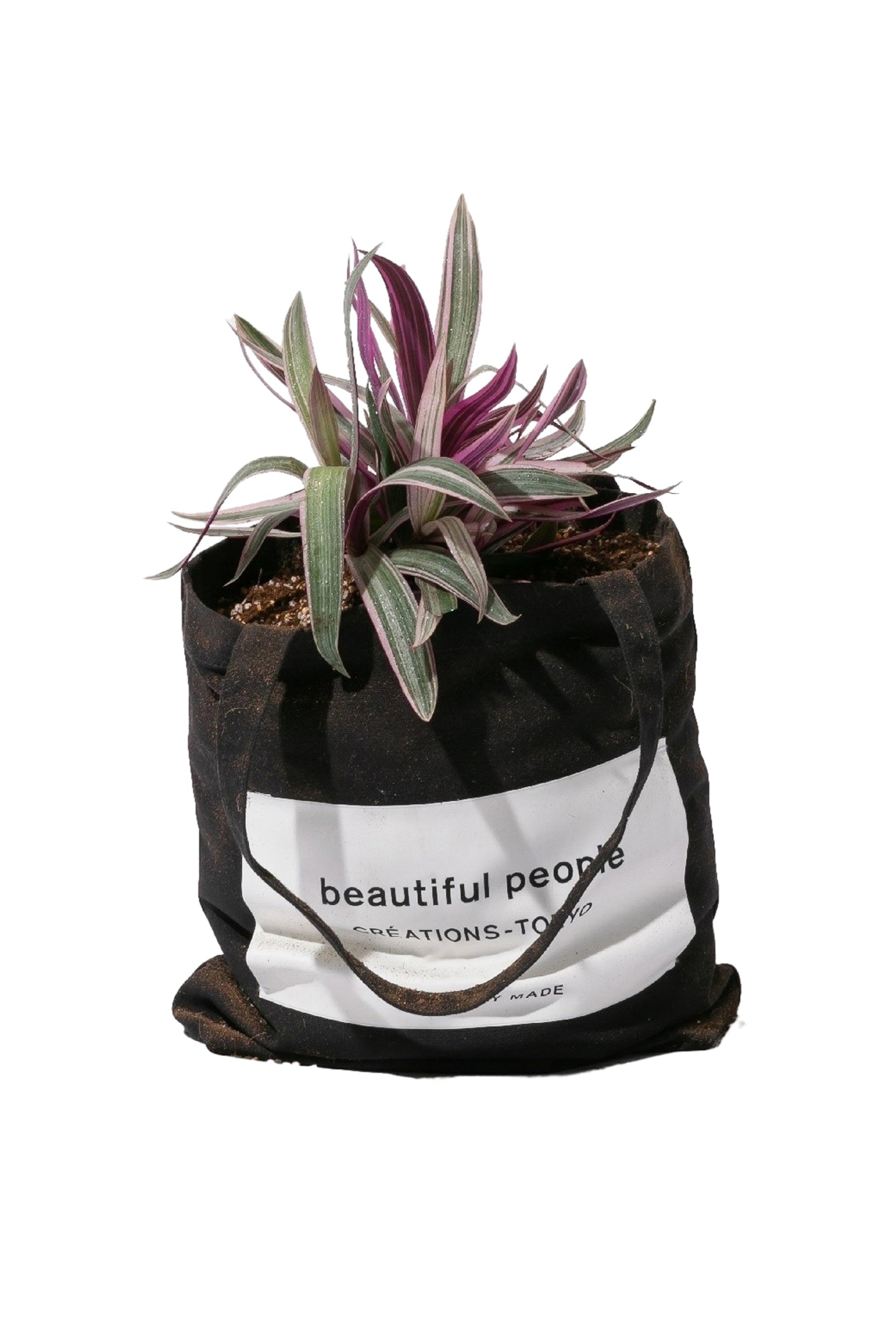 BP BIG NAME TOTE SDGS / BLK