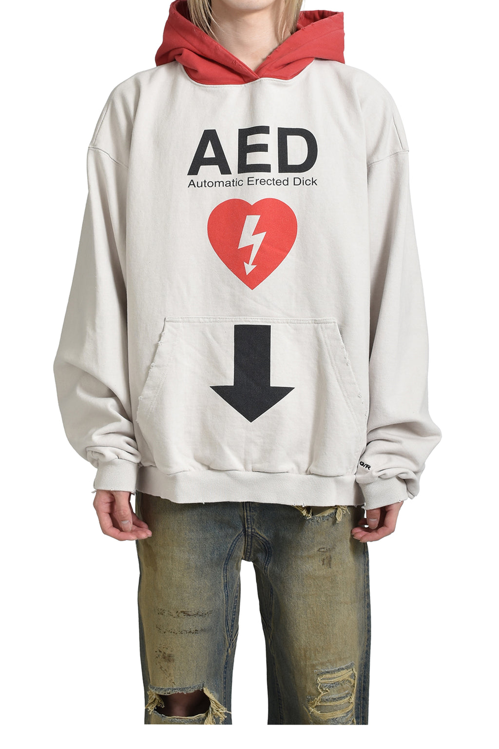 PROJECT G/R プロジェクト ジーアール SS25 AED OVERFIT HOODIE / LT  