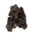 COYOTE FUR STOLE / CHA