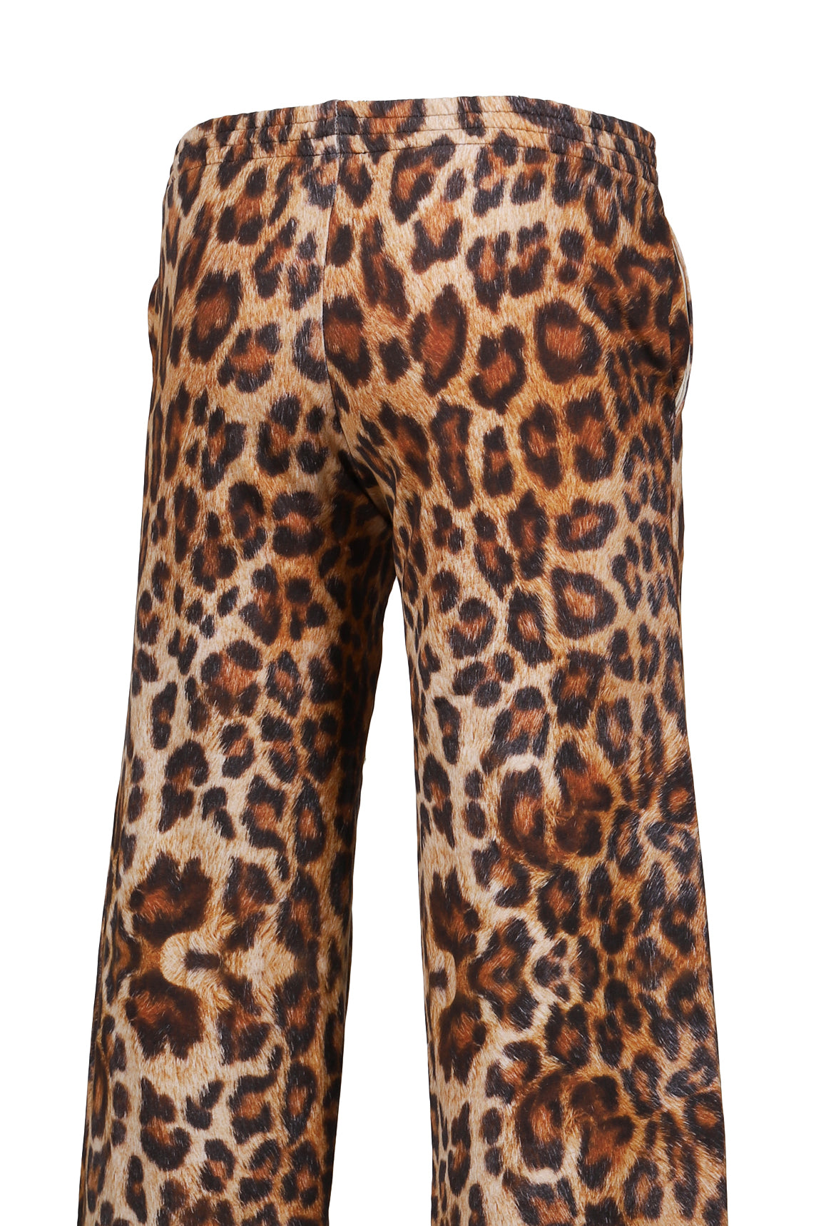 LEOPARD JOGGER(EXCLUSIVE) / LEO