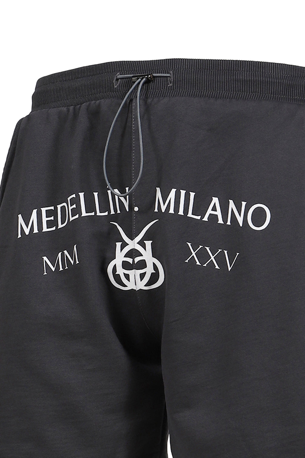 SANTA UNION MEDELLIN MILANO BIASED SHORT / VTG GRY