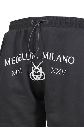 SANTA UNION MEDELLIN MILANO BIASED SHORT / VTG GRY