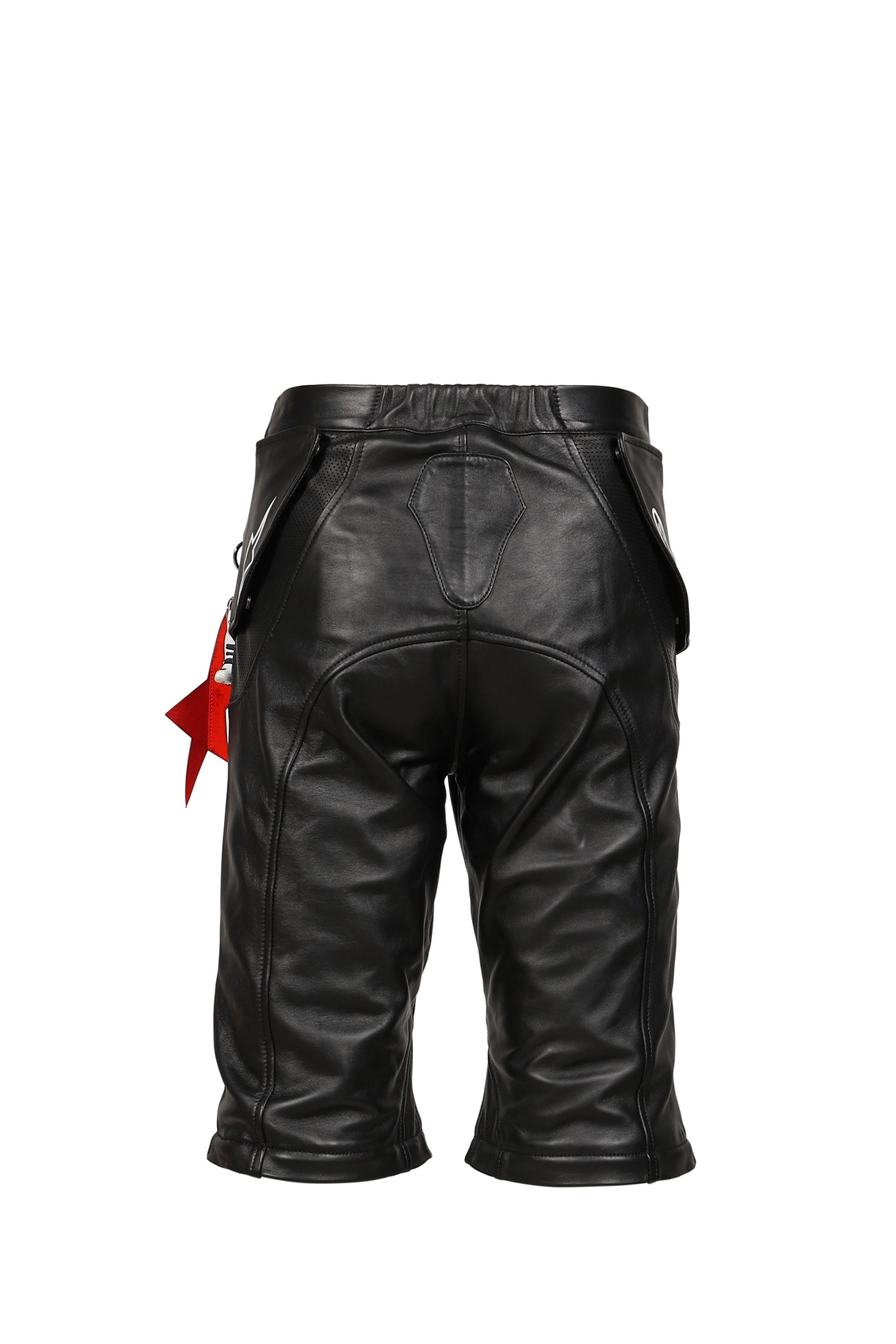 2.0 NEO BAT LEATHER PANTS / BLK