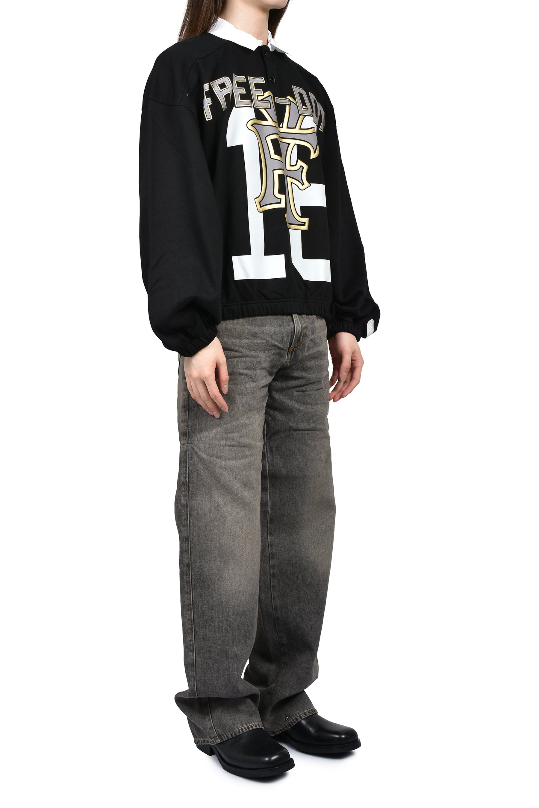POLO SWTR / FREDM