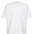TECH LIGHT WEIGHT S/S TEE / WHT