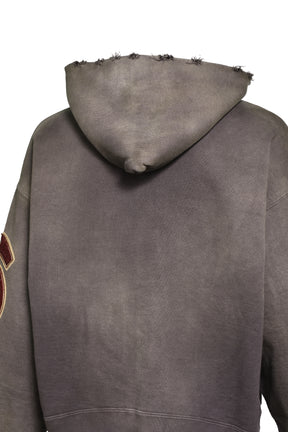 BASEBALL CHAMPION ZIP HOODIE AGED / AGED BRW