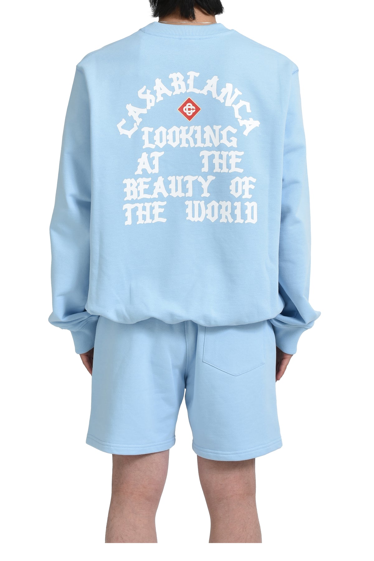 LOOKING AT THE BEAUTY OF THE WORLD SWEATSHIRT / PALE BLU