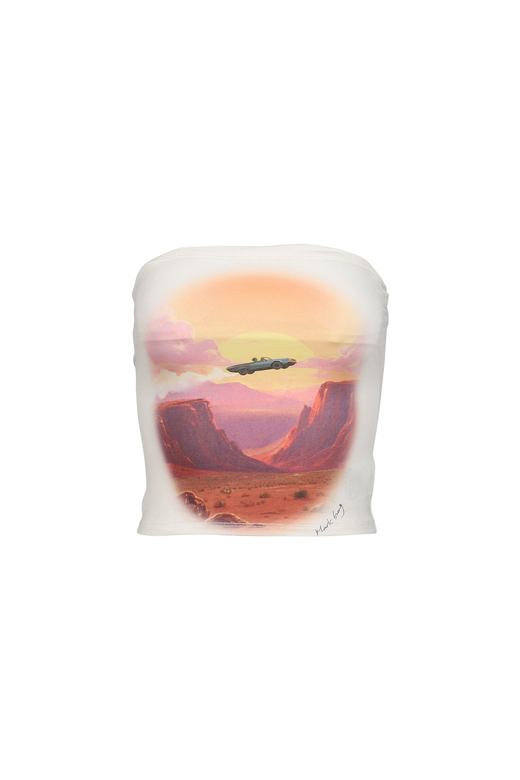 FLYING OVER THE CANYON RETRO PRINT TUBE TOP / WHT